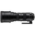 Sigma 150-600mm f/5-6.3 DG S OS HSM Can Telezoom, med HSM fokusmotor for Canon